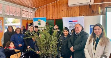 CON LA ENTREGA DE ARBUSTOS Y CHARLA SE CERRÓ EL MES DEL MEDIO AMBIENTE EN RINCONADA