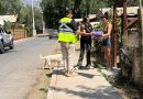 PERSONAL MUNICIPAL SE ENCUENTRA EN TERRENO RECOLECTANDO AYUDA PARA LOS DAMNIFICADOS DE INCENDIOS EN EL SUR