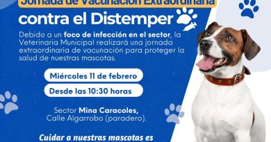 JORNADA EXTRAORDINARIA DE VACUNACIÓN CONTRA EL DISTEMPER SE REALIZARÁ EN RINCONADA