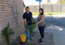 MUNICIPALIDAD DE RINCONADA INICIA PLAN DE FORESTACIÓN NATIVA EN PLAZAS Y SECTORES DE LA COMUNA