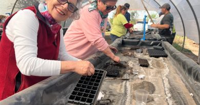 PERSONAS MAYORES PARTICIPARON EN TALLER “HUERTO DE SEMILLAS”
