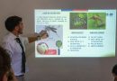 ÁREA DE SALUD MUNICIPAL REITERA LLAMADO A REPORTAR POSIBLES EJEMPLARES DE AEDES AEGYPTI
