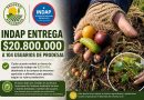 INDAP ENTREGA MÁS DE $20 MILLONES A 104 USUARIOS DE PRODESAL RINCONADA