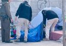 PERSONAL DE SEGURIDAD PÚBLICA Y CARABINEROS DESALOJAN RUCO INSTALADO EN VILLA RENACER