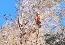 MUNICIPIO AVANZA CON TRABAJOS PREVENTIVOS DEL PLAN INVIERNO