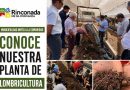 MUNICIPALIDAD INVITA A LA COMUNIDAD A CONOCER LA PLANTA DE LOMBRICULTURA