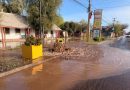 NUEVA ROTURA DE MATRIZ PROVOCA ANEGAMIENTO EN CARRETERA SAN MARTÍN