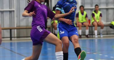 REITERAN LLAMADO A POSTULAR A FONDEPORTE
