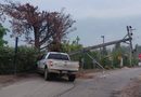 197 CLIENTES DE CHILQUINTA SE ENCUENTRAN SIN ENERGÍA ELÉCTRICA EN RINCONADA